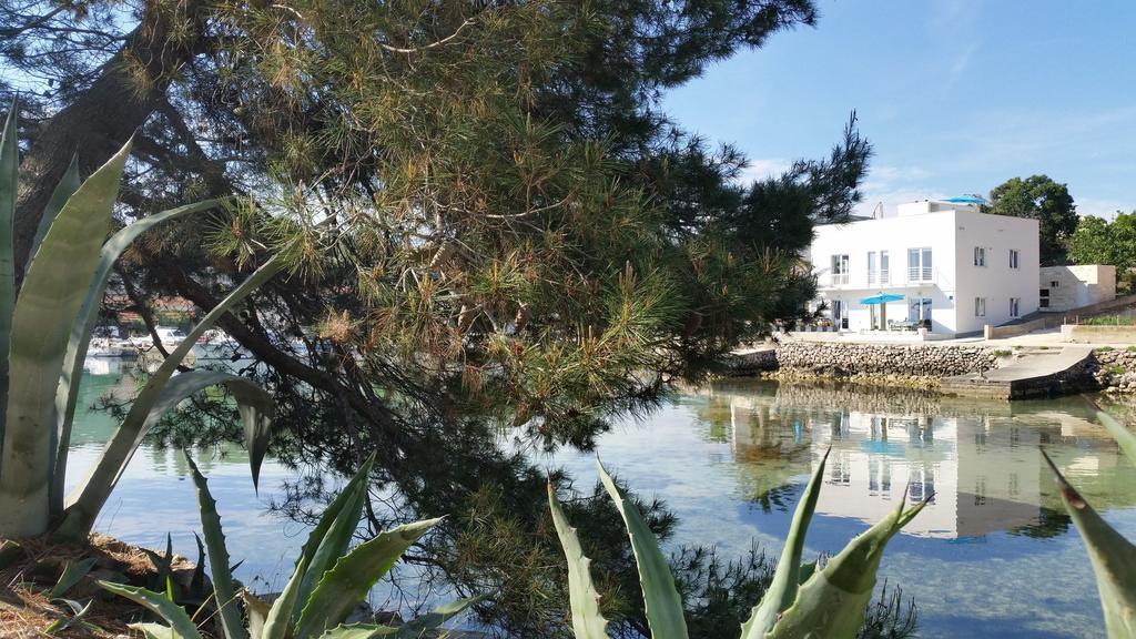Sea Reflections Žman